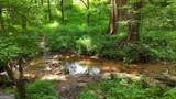 159 Prospect Trail - Photo 88
