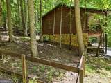 151 Hatchet Trail - Photo 12