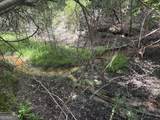 1202 Eddie Martin Road - Photo 97