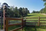 8481 Old Dial Road - Photo 8
