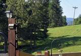 8481 Old Dial Road - Photo 9