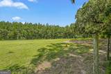 1359 Forest Island Drive - Photo 23
