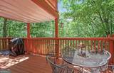 608 Moss Patch Trail - Photo 3