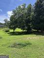 176 Bud Freeman Road - Photo 13