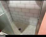 4157 Cedar Valley Lane - Photo 8