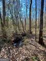 854 Hatcher Road - Photo 56
