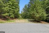 411 Hickory Nut Mountain - Photo 32