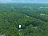 315 Double Branch Road - Photo 34
