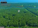 315 Double Branch Road - Photo 35