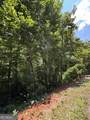 LOT #5 King Mountain Drive - Photo 3