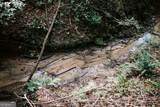 50 Bob White Road - Photo 14