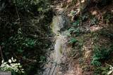 50 Bob White Road - Photo 24