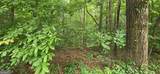 LOT 9 Harris Creek Drive - Photo 4