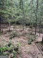 0 Windy Ridge - Photo 2