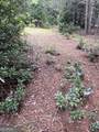 0 Windy Ridge - Photo 3