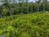 LOT 84 Jakes Landing Way - Photo 10