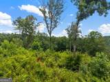 LOT 84 Jakes Landing Way - Photo 9