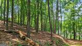 LT 170 Overlook Way - Photo 10