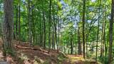 LT 170 Overlook Way - Photo 13