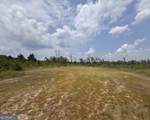 0 Rose Hollow Road - Photo 3
