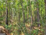 504 Old Mcelveen Road - Photo 30