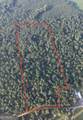 6 Bunch Road - Photo 1