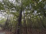 6 Bunch Road - Photo 14