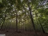6 Bunch Road - Photo 22