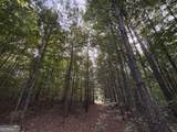 6 Bunch Road - Photo 32