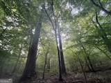 6 Bunch Road - Photo 37
