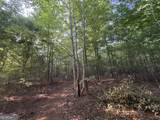 6 Bunch Road - Photo 8