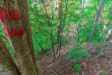 LOT 50 Jakes Landing Way - Photo 10
