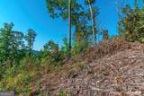 LOT 50 Jakes Landing Way - Photo 15