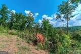 LOT 50 Jakes Landing Way - Photo 24