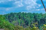 LOT 50 Jakes Landing Way - Photo 41
