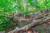 LOT 50 Jakes Landing Way - Photo 7
