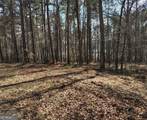 12425 Panhandle Road - Photo 6