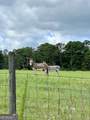 1401 Dixie Road - Photo 23