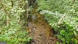 0 River Run - Photo 1