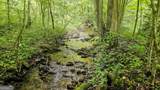 0 River Run - Photo 6