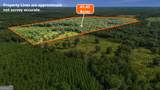 0 Roddy Highway - Photo 24