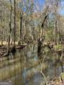 0 Roddy Highway - Photo 3