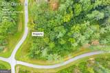 LOT 73 Leisure Mountain Trail - Photo 31