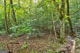 0 Wolf Pen Trail - Photo 10