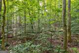 0 Wolf Pen Trail - Photo 13