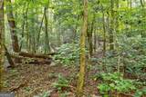 0 Wolf Pen Trail - Photo 14