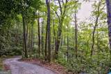 0 Wolf Pen Trail - Photo 38