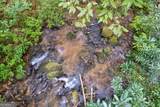 0 Wolf Pen Trail - Photo 39