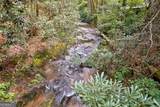 0 Wolf Pen Trail - Photo 40