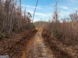 156+ Higdon Creek Road - Photo 11